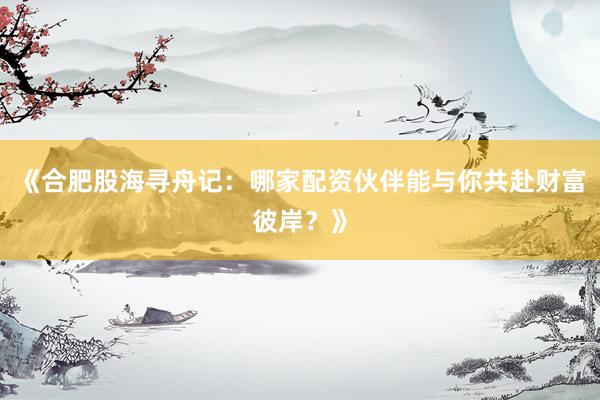 《合肥股海寻舟记：哪家配资伙伴能与你共赴财富彼岸？》