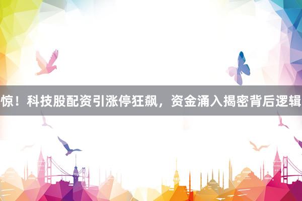 惊！科技股配资引涨停狂飙，资金涌入揭密背后逻辑