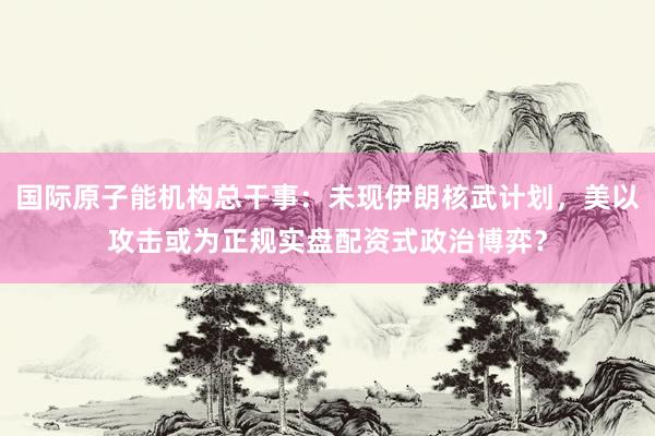 国际原子能机构总干事：未现伊朗核武计划，美以攻击或为正规实盘配资式政治博弈？
