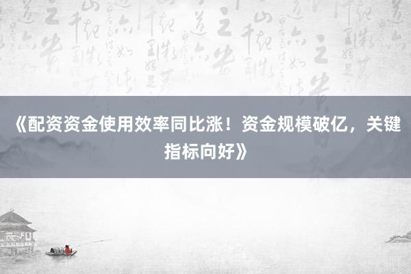 《配资资金使用效率同比涨！资金规模破亿，关键指标向好》