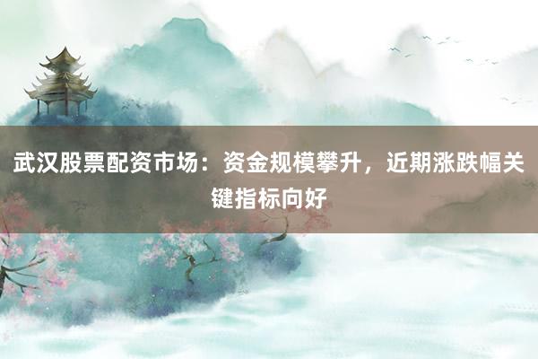 武汉股票配资市场：资金规模攀升，近期涨跌幅关键指标向好